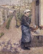 Camille Pissarro Woman washing dishes oil painting on canvas